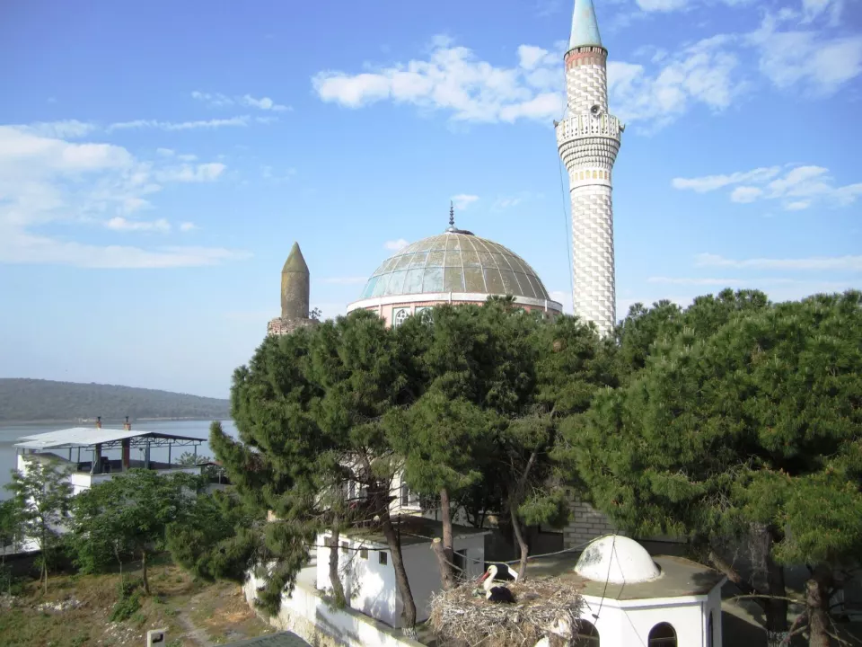Eskikaraağaç'ta cami ve göl önünde duran bir beyaz leylek