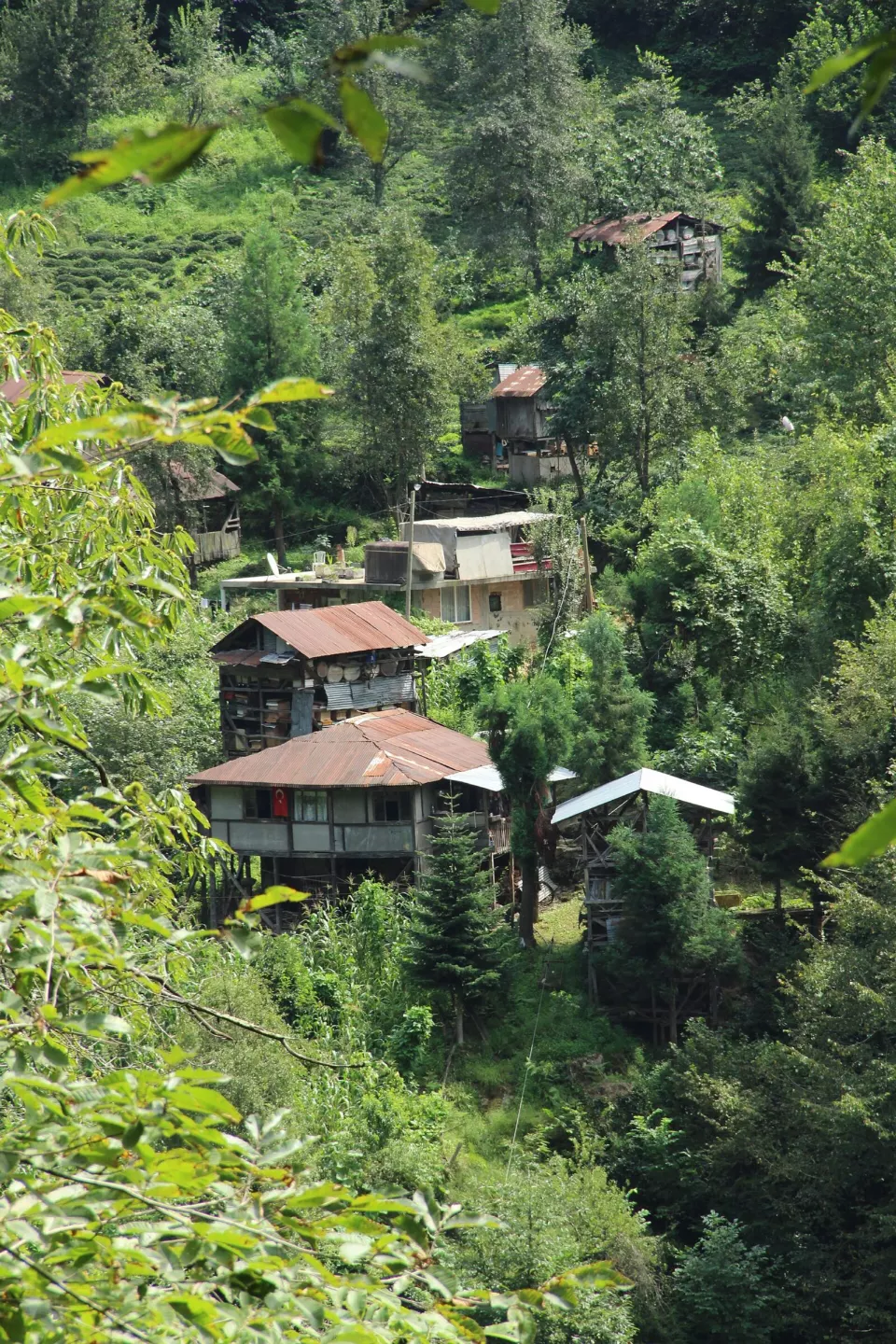 Artvin'de köy evleri