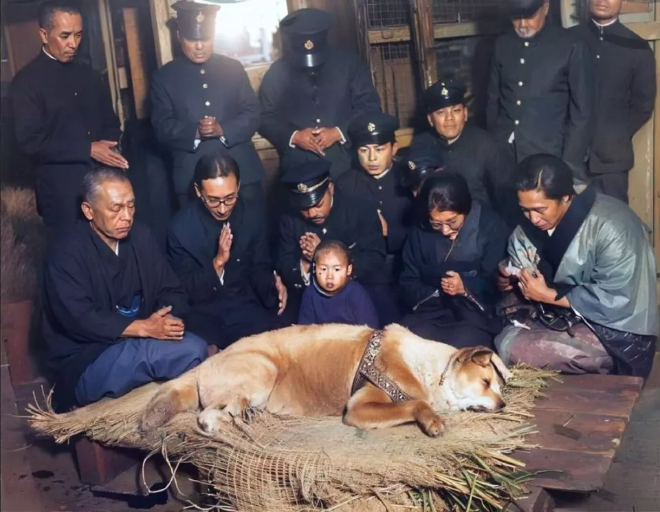 Yerde yatan köpeğin çevresinde ayakta ve diz çökmüş, yas tutan bir grup insan