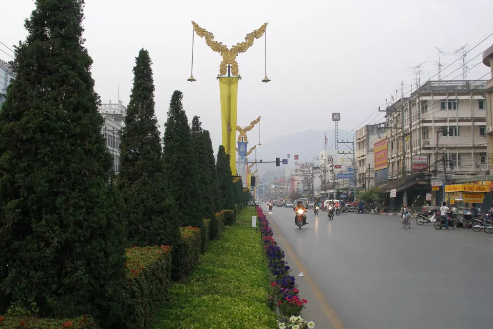 İki yanında servi ağaçları ve dükkânlar olan, motosikletlerin geçtiği geniş bir cadde